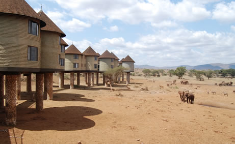 Read more about the article 5 Days Tsavo East, West, Amboseli & Saltlick
