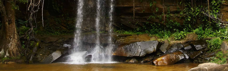 1_shimba_hills_game_reserve