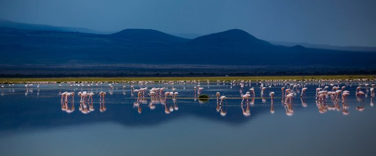 5 Days Amboseli, Tsavo West And Tsavo East